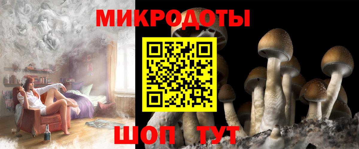 Псилоцибиновые грибы GOLDEN TEACHER  Вход с VPN  Малгобек 